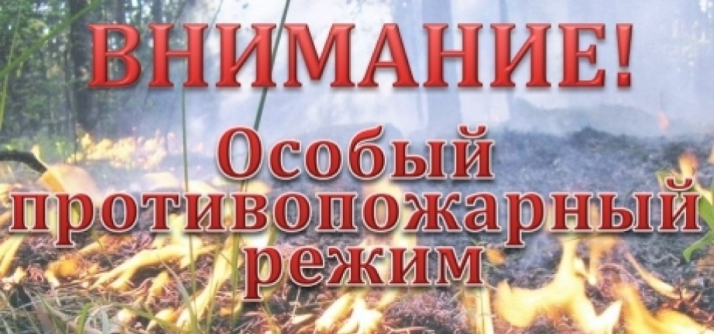 С 30 мая  2024 года на территории Владимирского региона введён ОСОБЫЙ ПРОТИВОПОЖАРНЫЙ РЕЖИМ.
