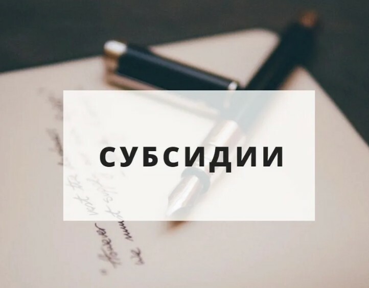 ОБЪЯВЛЕНИЕ  О ПРЕДОСТАВЛЕНИИ СУБСИДИЙ ИЗ БЮДЖЕТА МУНИЦИПАЛЬНОГО ОБРАЗОВАНИЯ «ПЕТУШИНСКИЙ РАЙОН»